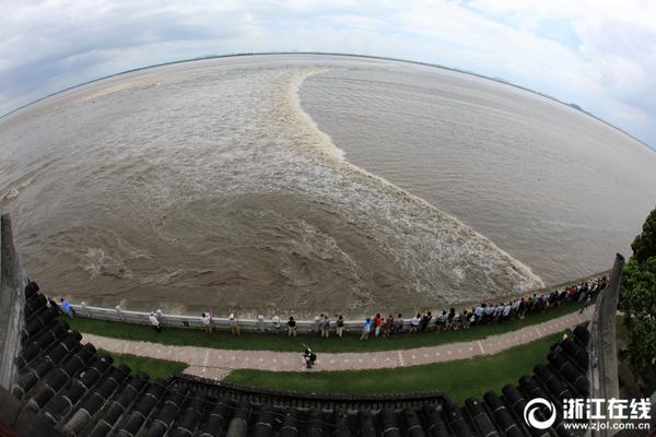记者：马竞报价3200万欧+浮动，接近与费耶诺德谈妥汉茨科转会